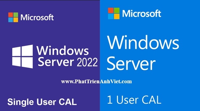 Hướng Dẫn Cách Tính Số Lượng CALs Cần Mua Cho Windows Server Chuẩn 2026