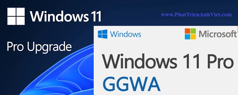 So Sánh Windows 11 Pro GGWA Và Pro Upgrade Cho Doanh Nghiệp