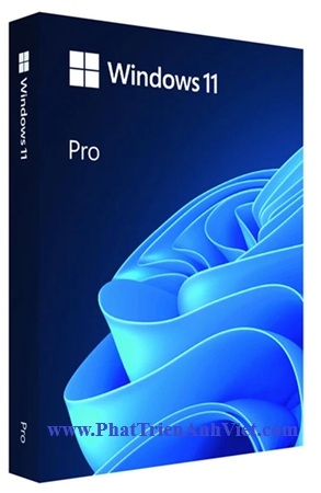 Bản Quyền Phần Mềm Hệ Điều Hành Microsoft Windows 11 Pro FPP HAV-00163 64-BIT ENG INTL Giá Rẻ - Full Box USB