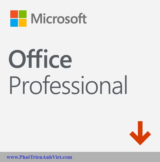 Bản Quyền Phần Mềm Microsoft Office Professional 2021 269-17185 giá rẻ