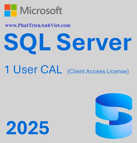 Bản Quyền Phần mềm Microsoft SQL Server 2025 - 1 User CAL Vĩnh Viễn