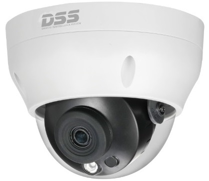 Camera IP Dome hồng ngoại 4.0 Megapixel DAHUA DS2431RDIP-S2