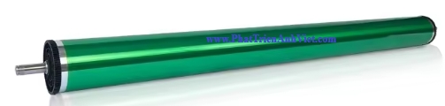 Drum Rời Trống Rời OPC CT100079 001R00583 Cho Máy XEROX DW 3030 3035 6204 6030 6050 6035 6055 6279 6604 6605 6705