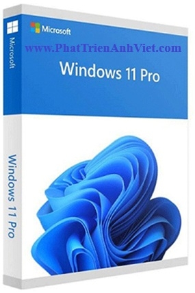 Phần mềm Bản Quyền Windows 11 Pro FQC-10572 64-bit All Lng PK Lic Online DwnLd NR Key Điện Tử Vĩnh Viễn