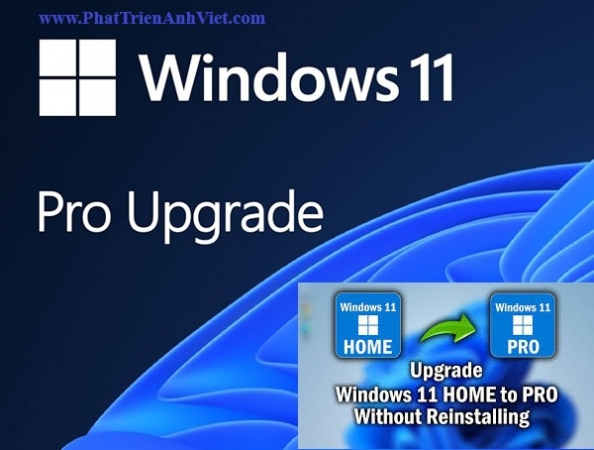 Windows 11 Pro Upgrade Bản Quyền Chính Hãng Cho Doanh Nghiệp